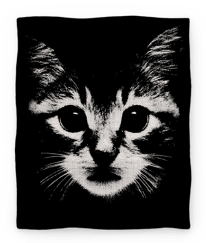 cat blanket