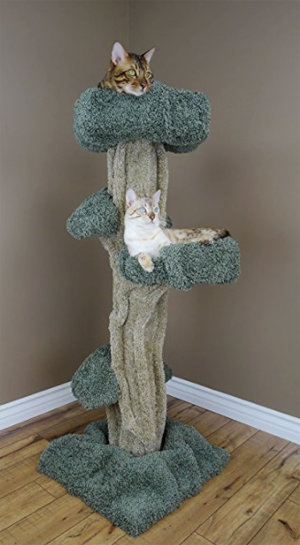 unique cat trees