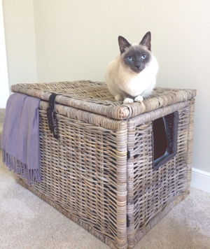 diy litter box cabinet cat