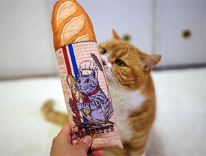 handmade cat kickers