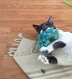 handmade cat kickers