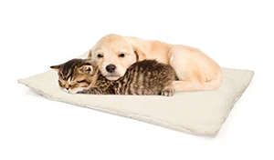 self warming thermal cat beds