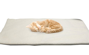 self warming thermal cat beds