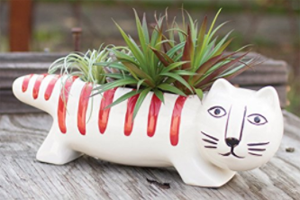cat planters plant pots