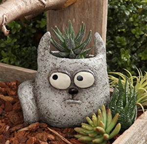 cat planters plant pots