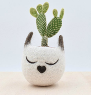 cat planters plant pots