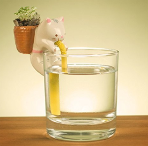 cat planters plant pots