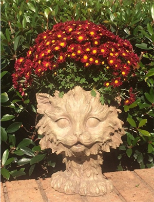 cat planters plant pots