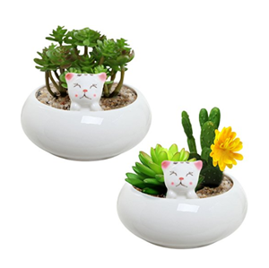cat planters plant pots