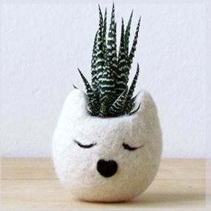 cat planters plant pots