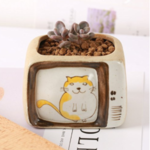 cat planters plant pots