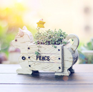 cat planters plant pots