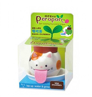 cat planters plant pots