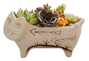 cat planters plant pots