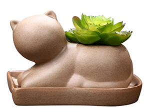 cat planters plant pots