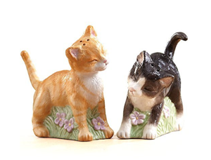 Cute Cat Salt & Pepper Shakers To Spice Up Your Life! – Meow As Fluff