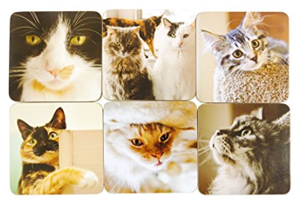 cat coasters