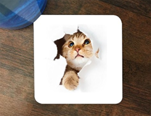 cat coasters