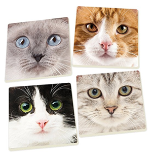 cat coasters