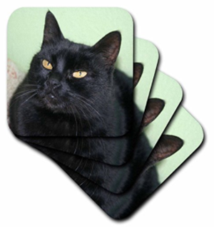 cat coasters