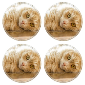 cat coasters