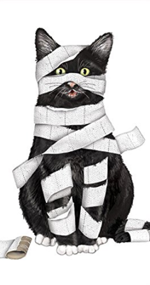 cat halloween dish towels