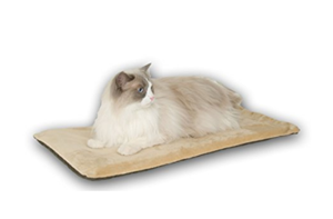 heated cat bed