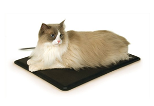 heated cat bed