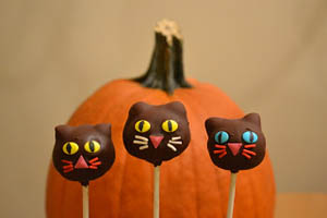 halloween cat cake pop recipe