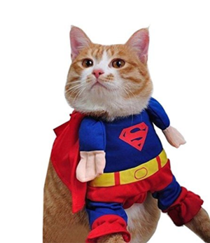 halloween costumes for cats