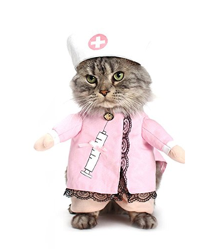 Halloween Costumes For Your Cat! – Meow As Fluff