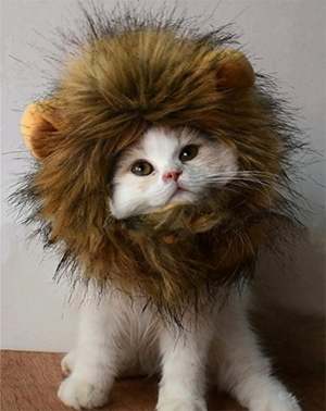 halloween costumes for cats