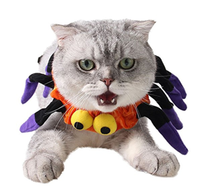 halloween costumes for cats