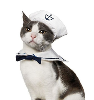 halloween costumes for cats