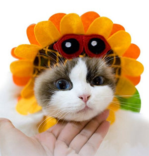 halloween costumes for cats