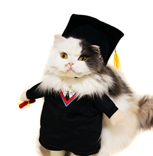 halloween costumes for cats