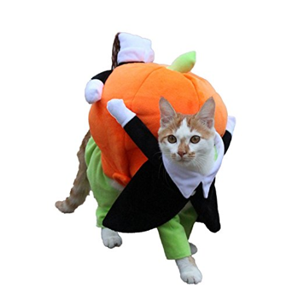 halloween costumes for cats