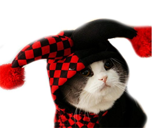 halloween costumes for cats