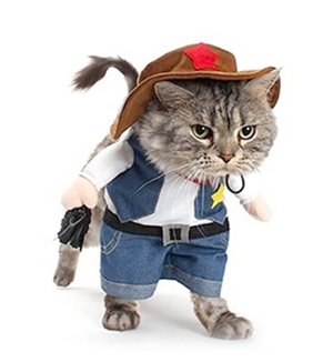 halloween costumes for cats