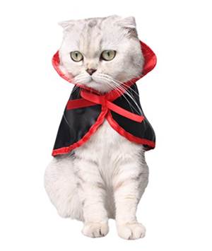 halloween costumes for cats