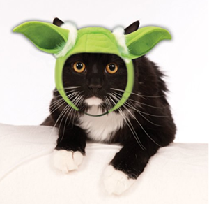 halloween costumes for cats