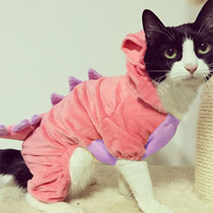 halloween costumes for cats