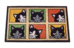 coir cat doormat