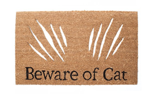 coir cat doormat