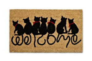 coir cat doormat