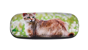 cat eyeglass sunglass cases