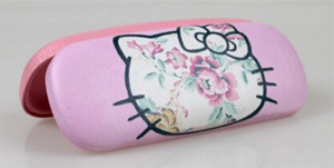 Cute Eyeglasses Case&cloth,kawaii Eyeglasses Case,hard Sunglasses