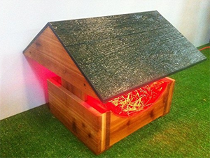 heated cat house feral outdoors