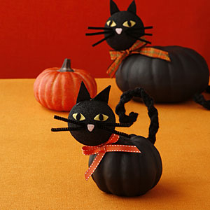 Halloween Cat Pumpkins Jack-o-lanterns