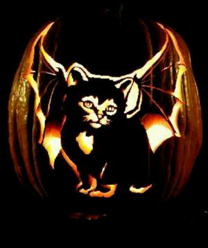 Halloween Cat Pumpkins Jack-o-lanterns